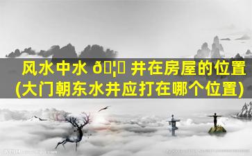 风水中水 🦈 井在房屋的位置(大门朝东水井应打在哪个位置)